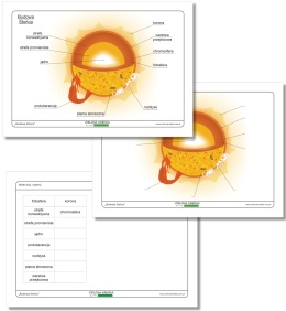 Edukacyjny zestaw PDF do druku – budowa Słońca, dopasowywanie nazw części gwiazdy, nauka astronomii dla dzieci