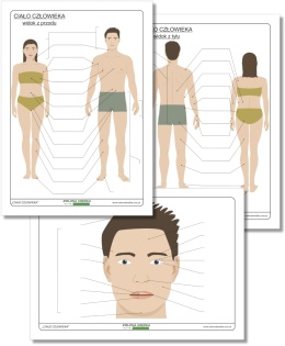 Zestaw PDF – ciało człowieka, trzy diagramy do samodzielnego uzupełniania, nauka anatomii i dopasowywanie nazw części ciała