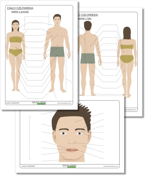 Zestaw PDF – ciało człowieka, trzy diagramy do samodzielnego uzupełniania, nauka anatomii i dopasowywanie nazw części ciała