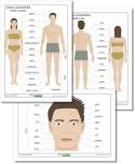 Ciało człowieka – edukacyjne diagramy z podpisami, PDF do druku, nauka anatomii dla dzieci
