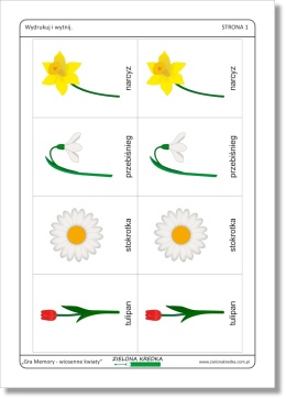Gra memory – wiosenne kwiaty, podgląd strony 1 zestawu PDF do druku