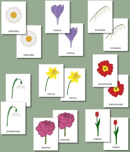 Gra memory – wiosenne kwiaty, podgląd wszystkich 8 par kart z ilustracjami