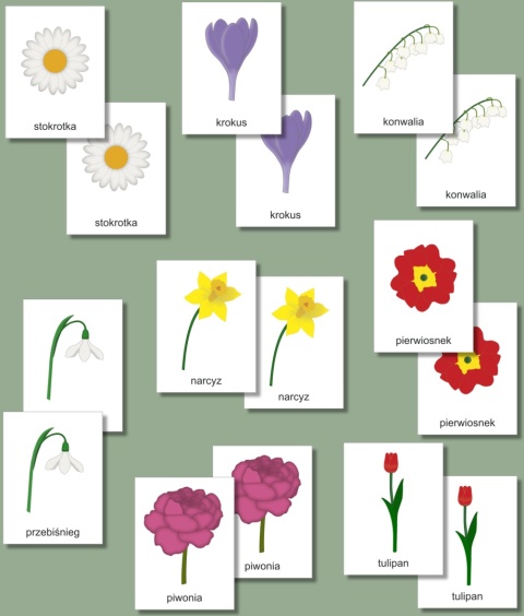 Gra memory – wiosenne kwiaty, podgląd wszystkich 8 par kart z ilustracjami