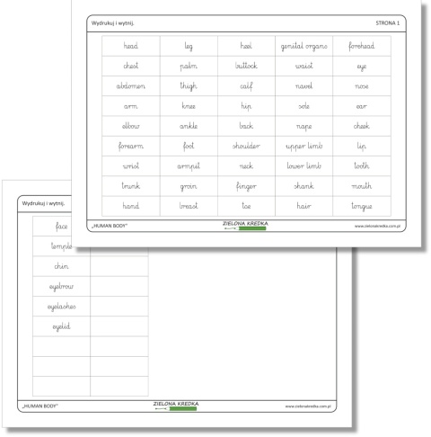 Human Body – karteczki do wycięcia z angielskimi nazwami części ciała w czcionce pismo szkolne, pomoc do nauki anatomii