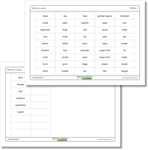 Human Body – 51 karteczek do wycięcia z angielskimi nazwami części ciała, PDF do druku, pomoc edukacyjna do nauki anatomii