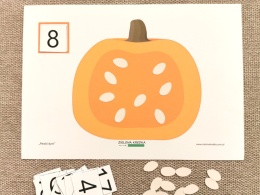 Ćwiczenie z zestawu Pestki dyni – liczę do 20 z liczbą 8 i ośmioma pestkami ułożonymi na dyni