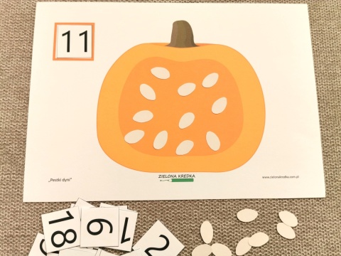 Ćwiczenie z zestawu Pestki dyni – liczę do 20 z liczbą 11 i jedenastoma pestkami ułożonymi na dyni
