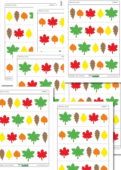 Zestaw 7 stron z kartami do odwzorowywania liści – 28 układów do ułożenia