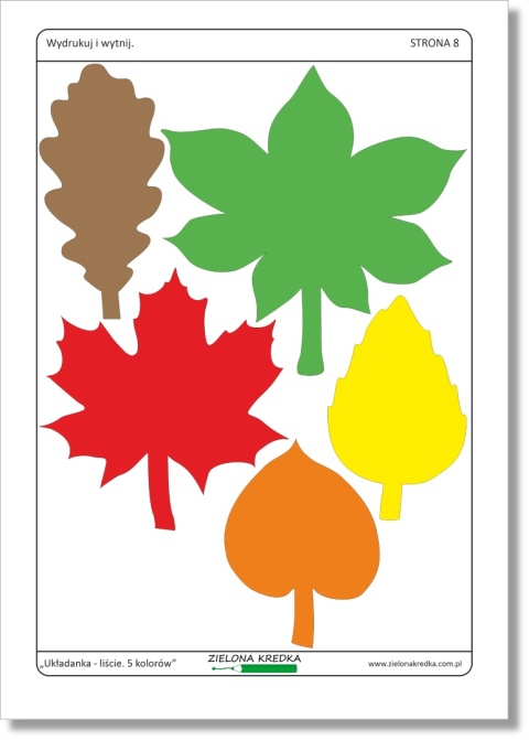 Kolorowe liście do wycięcia – elementy układanki dla dzieci