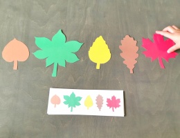 Układanie kolorowych liści według wzoru – układanka lewopółkulowa