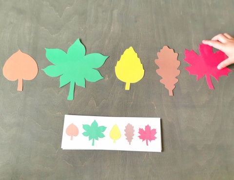 Układanie kolorowych liści według wzoru – układanka lewopółkulowa