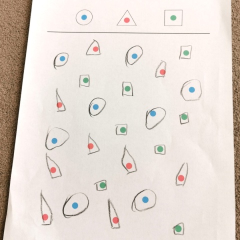 Zaznacz według wzoru – rozwiązana karta pracy nr 1